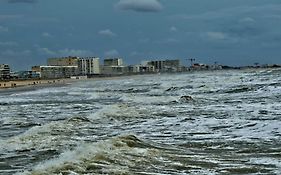 Studio Bords De Plage